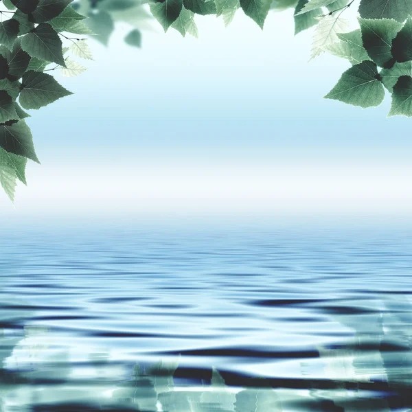 Vågigt vatten och Björk blad — Stockfoto