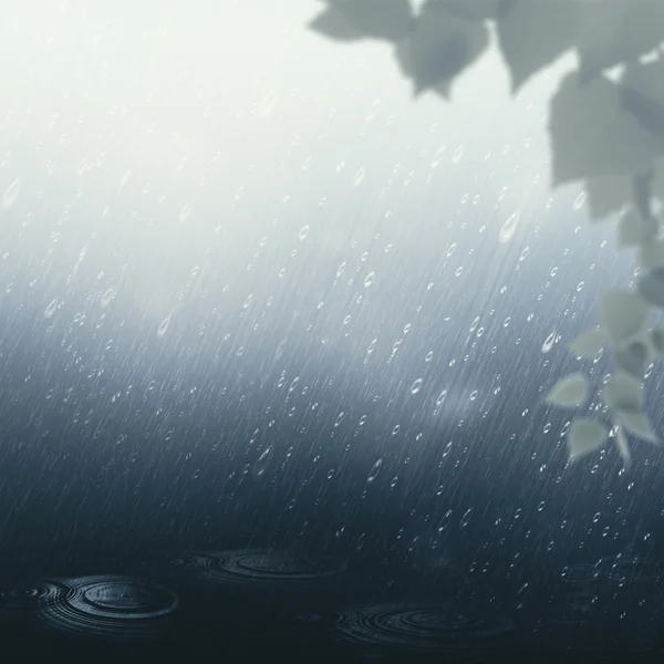 Summer rain background — Stock Photo, Image