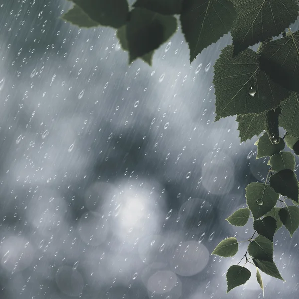 夏天雨背景 — 图库照片