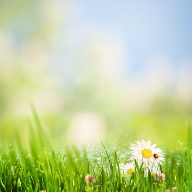 Mavi gökyüzü altında yeşil tepeler