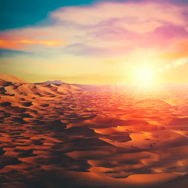 Colorful Sunny desert — Stock Photo, Image
