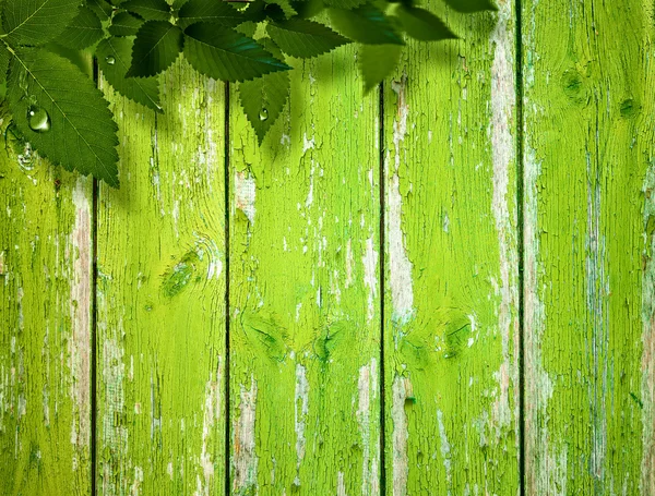 Follaje de verano y valla de madera — Foto de Stock