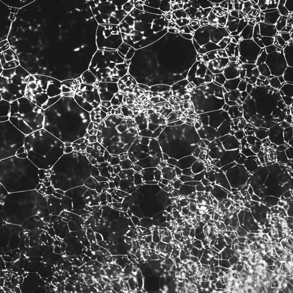 Піна Абстрактні Монохроматичні Макро Фони — стокове фото