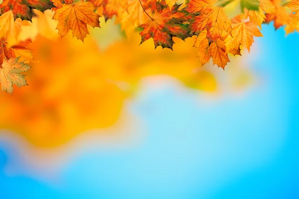 Abstracte herfst achtergrond — Stockfoto