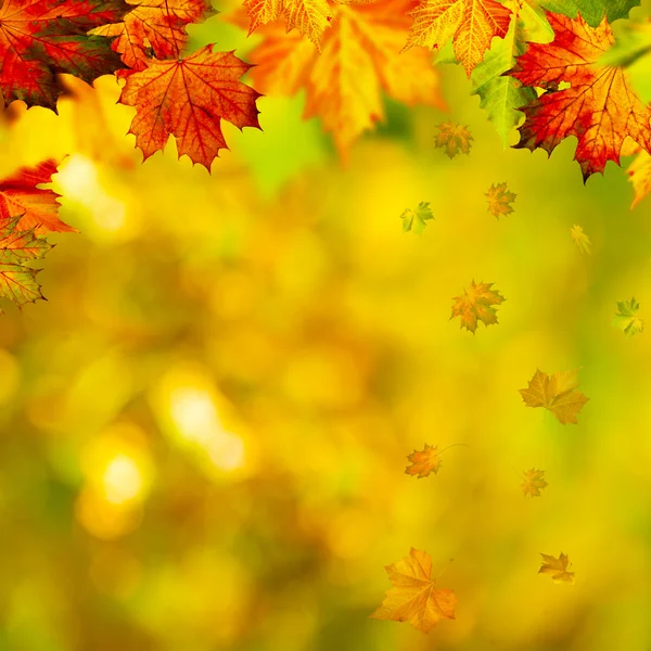 Abstract autumnal background — Stock Photo, Image