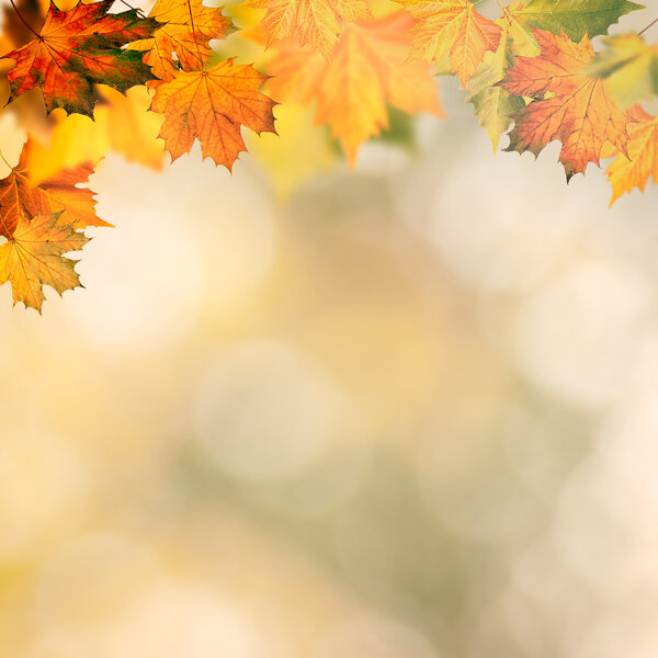 Abstract autumnal backgrounds