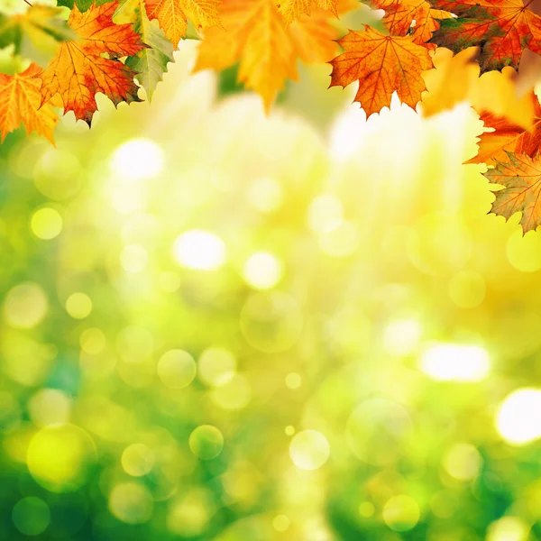 Podzimní pozadí abstraktní — Stock fotografie