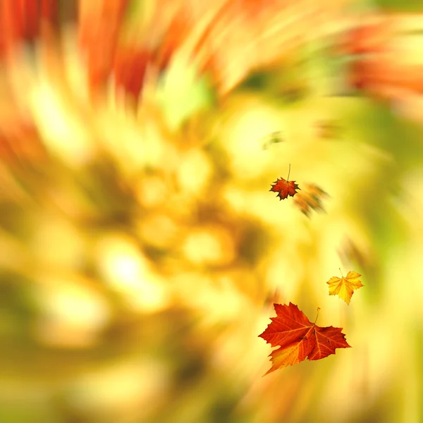 Autumnal swirl — Stock Photo, Image