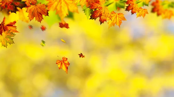 Banner otoñal con hojas que caen —  Fotos de Stock