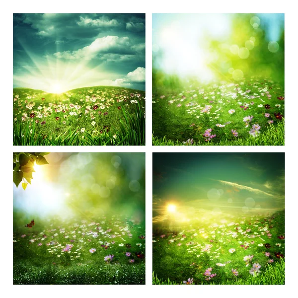 Set of assorted summer backgrounds — Stock Photo, Image