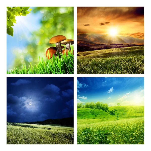 Set of assorted summer backgrounds — Stock Photo, Image