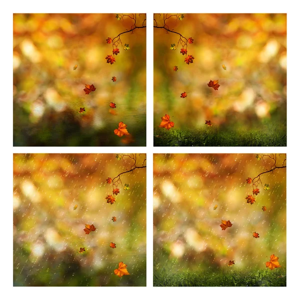 Set of autumnal seasonal backgrounds