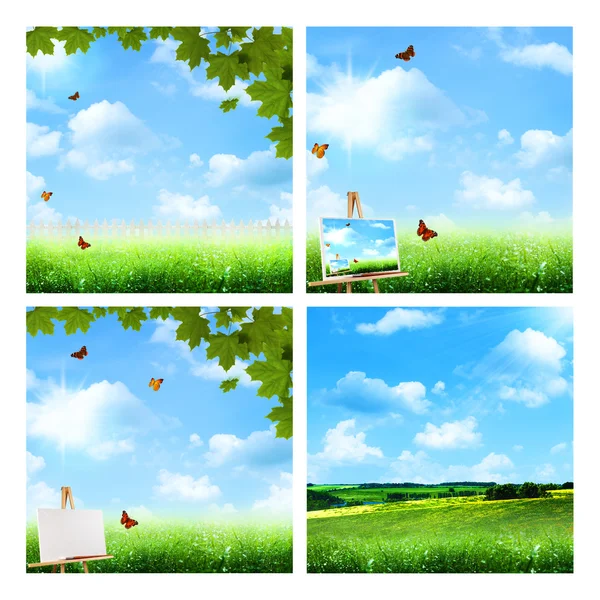Set of assorted summer backgrounds — Stock Photo, Image