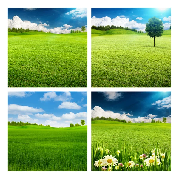 Set of summer seasonal backgrounds — Stock Photo, Image