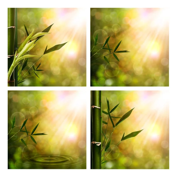 Set of oriental seasonal backgrounds