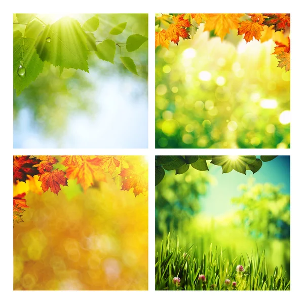 Лето и осень разнообразные фоны — стоковое фото