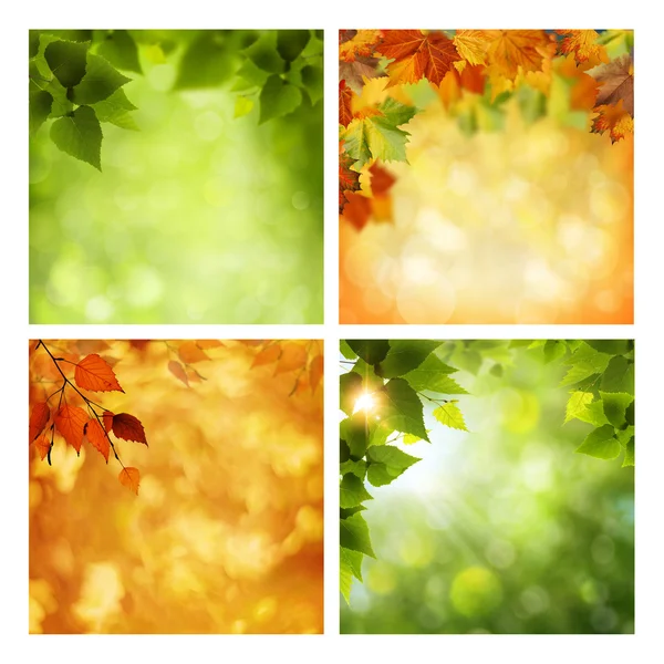Letni i jesienny bukiet tła — Zdjęcie stockowe
