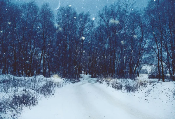 Winter natural landscape — Stockfoto