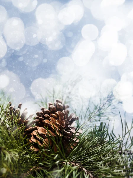 クリスマスの装飾の背景 — ストック写真