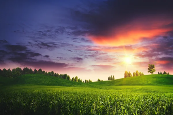 Puesta de sol en el prado de verano — Foto de Stock