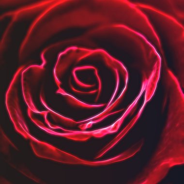 Fraktallar tasarım kırmızı gül