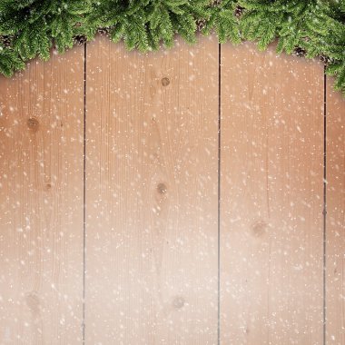 Çam brançlardan üstünde okul sırası