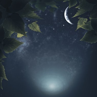 Gece ormanda moon