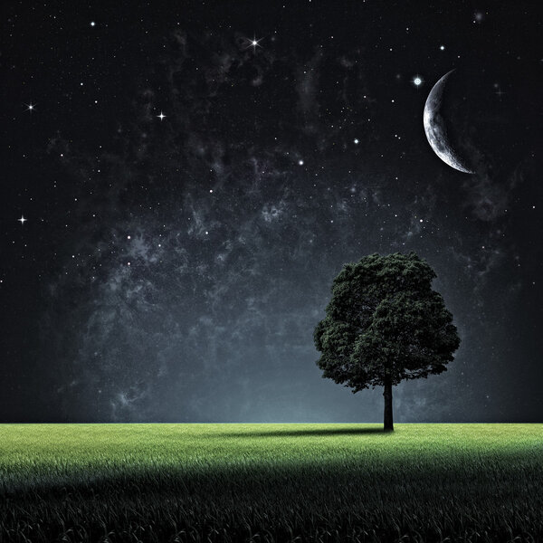 Big full moon over small tree at starry night. Abstract natural background illustration