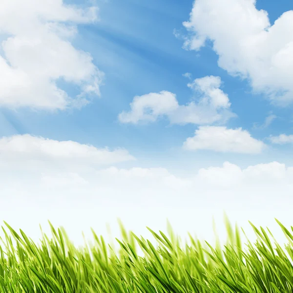 Tło z trawą i niebem — Zdjęcie stockowe