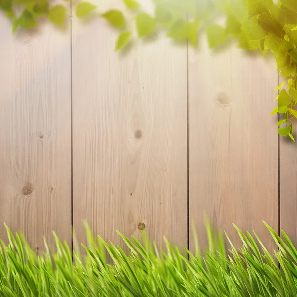 Background with foliage, fence and sunlight — Stock Photo, Image