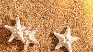 Starfishes kum arka plan üzerinde