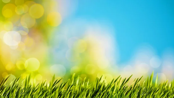 Natürlicher Hintergrund mit grünem Gras — Stockfoto