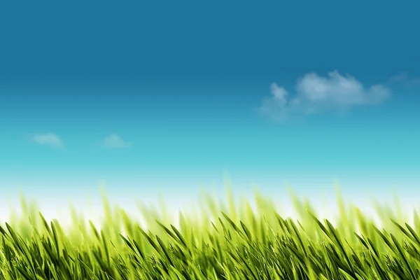 Natural background with green grass — Stock Photo, Image