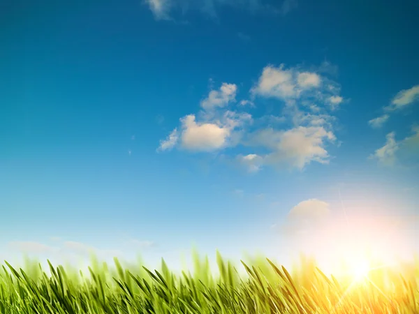 Natuurlijke achtergrond met groene gras — Stockfoto