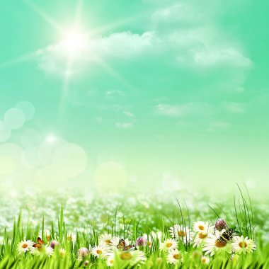 çayır yaz gününde