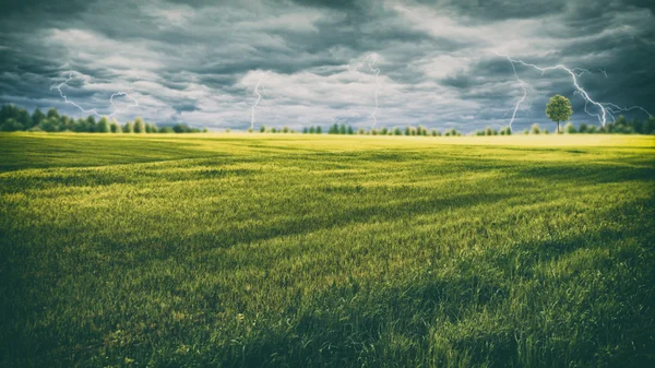 Osvětlení na zelené louce — Stock fotografie