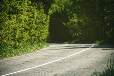 asfalt yol ve yeşil tünel