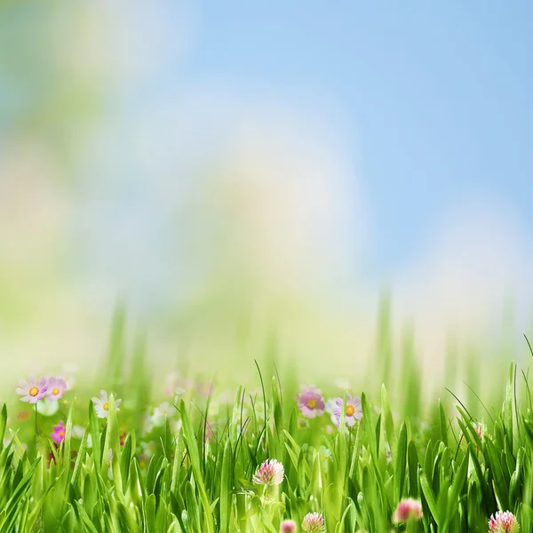 Spring gargen, abstrakte Naturlandschaft für Ihre Gestaltung — Stockfoto