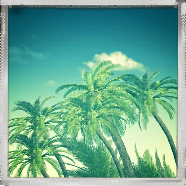 Latem wycieczka tło z palmami — Zdjęcie stockowe