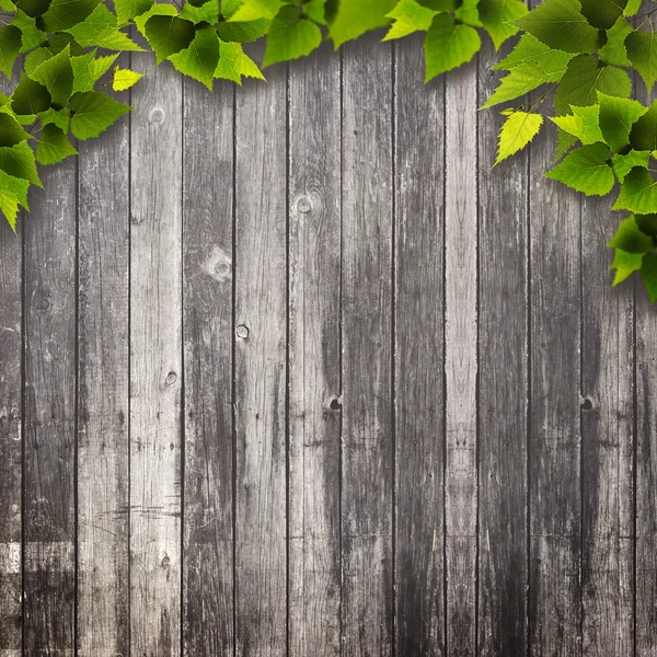 Green foliage over wooden wall — Stock Photo, Image