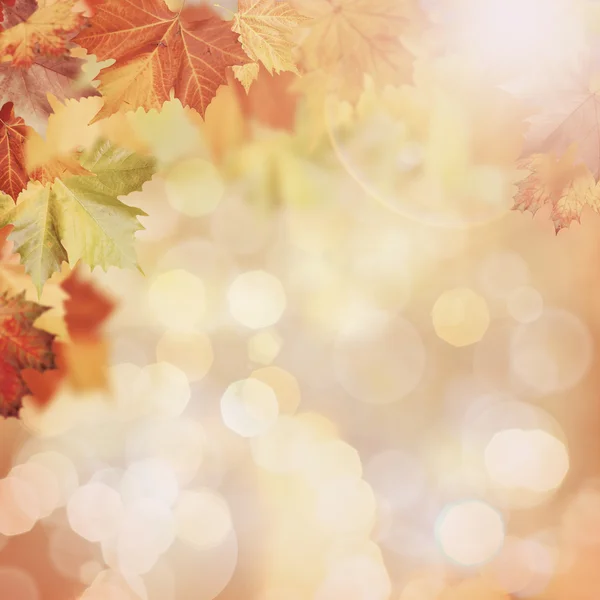 Abstract autumnal background — Stock Photo, Image