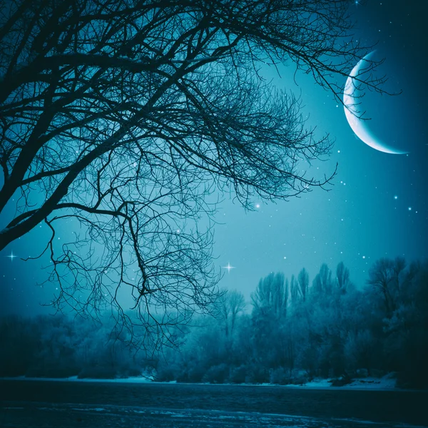 Spooky nacht landschap — Stockfoto