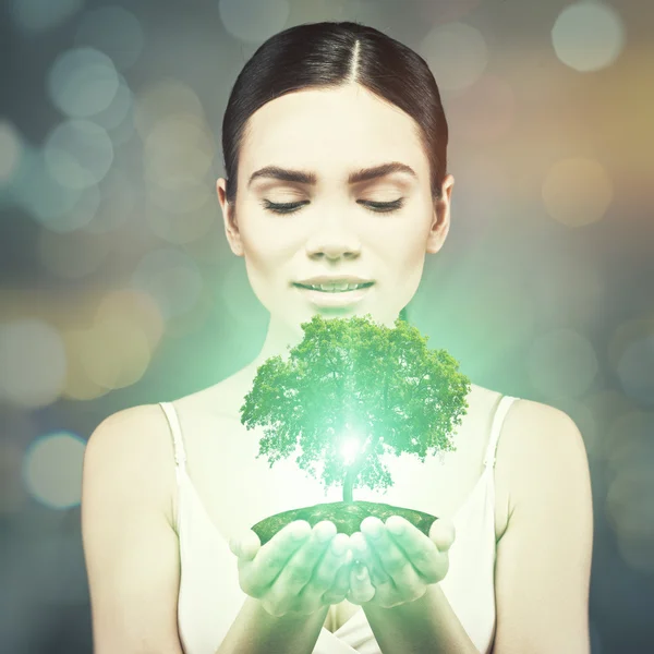 Woman holding green tree — Stock Photo, Image