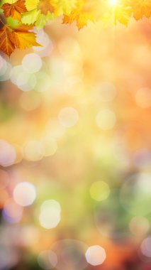 bulanık arka plan bitki örtüsü ile