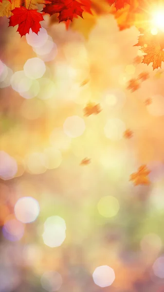 Blurry background with foliage — Stock Photo, Image