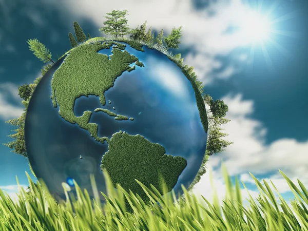 Globe terrestre et herbe verte — Photo
