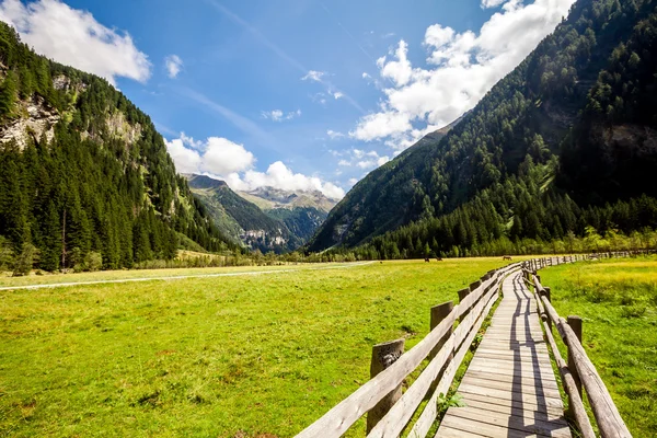 Bergen in het nationale park in Oostenrijk. — Stockfoto