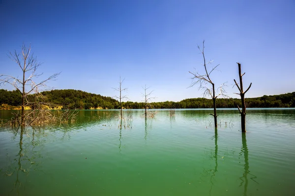 Isola su uno sfondo — Foto Stock