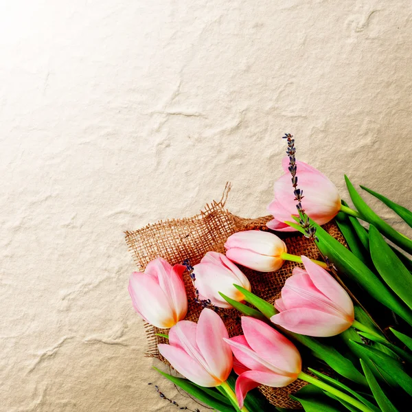 Flores. ramo de tulipán sobre fondo blanco para publicidad —  Fotos de Stock