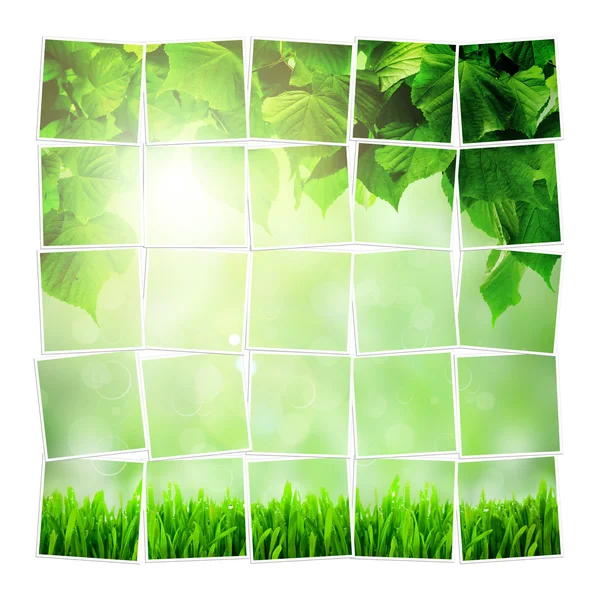 A collage spring — Stock Photo, Image